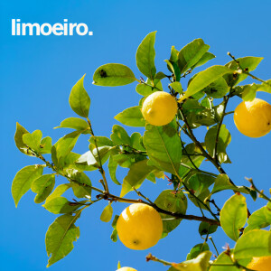 收聽Calcinhas De Renda的TAROT歌詞歌曲