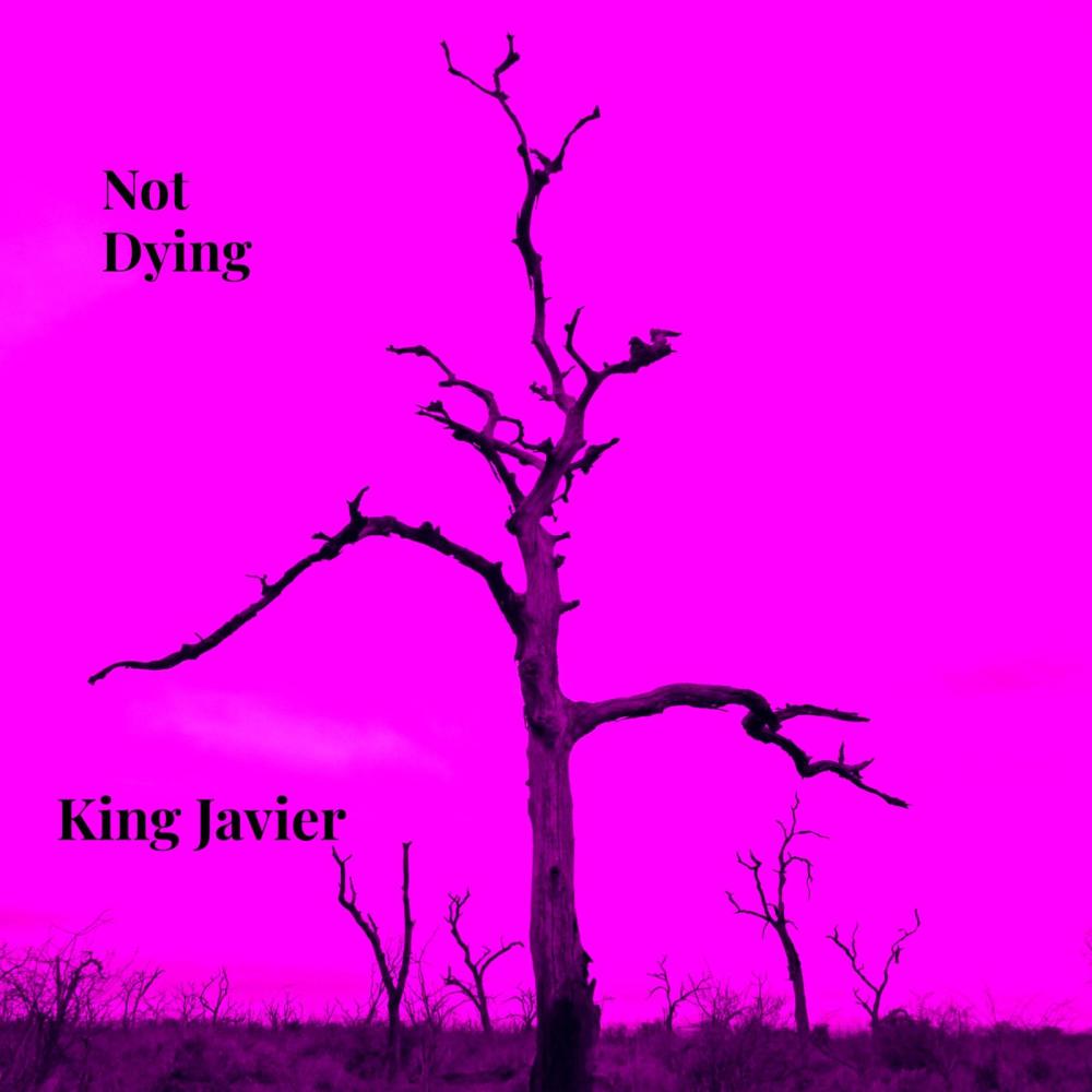 Not Dying (feat. Lil Uber)