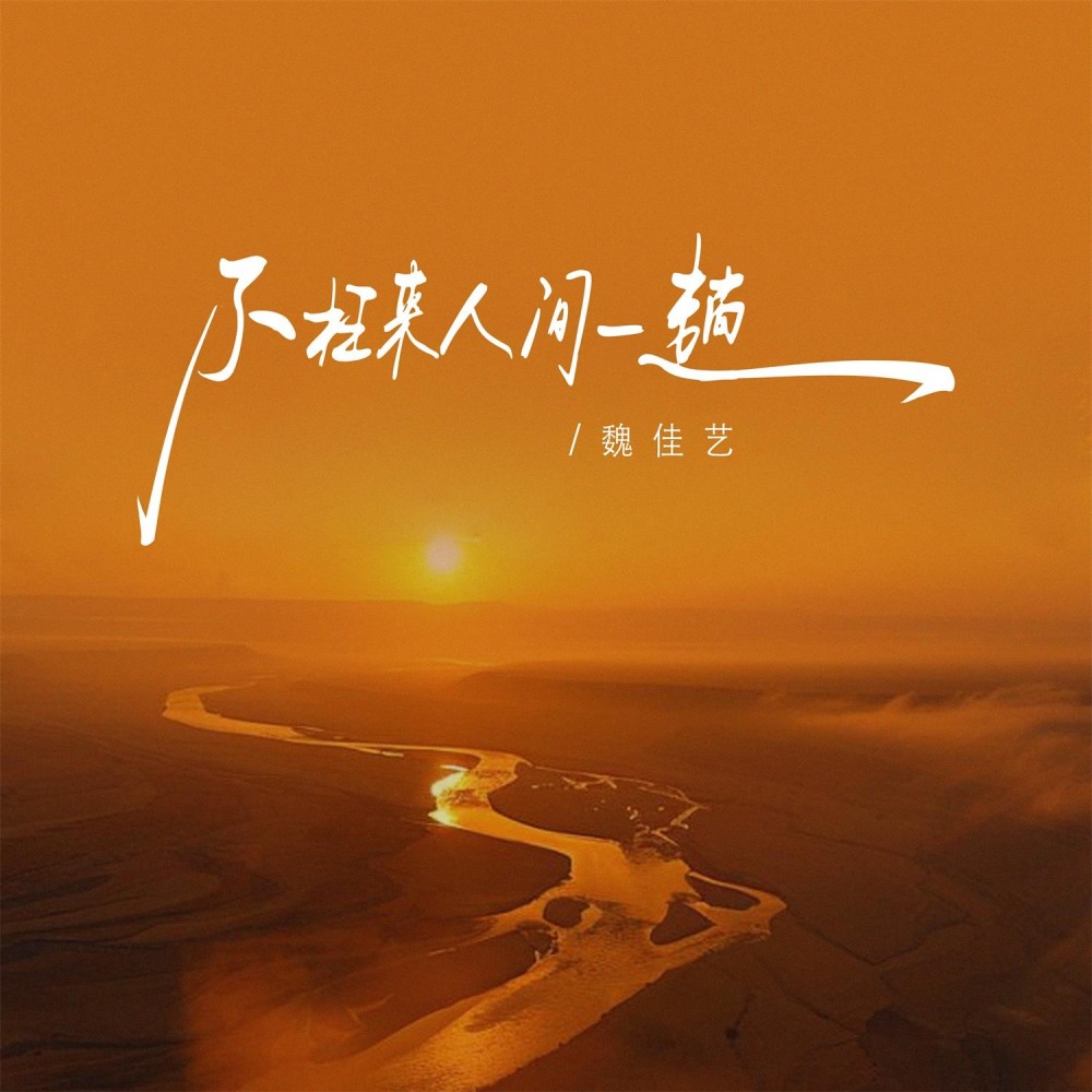 不枉来人间一趟 (伴奏)