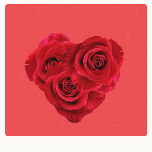 ดาวน์โหลดและฟังเพลง Deadroses พร้อมเนื้อเพลงจาก Aidan Fine