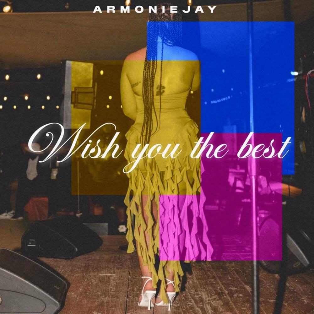 Wish You The Best (Explicit)