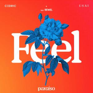 อัลบัม FEEL (feat. REWEL) ศิลปิน C3DRIC