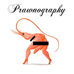 ดาวน์โหลดและฟังเพลง Prawnography พร้อมเนื้อเพลงจาก Step Bro