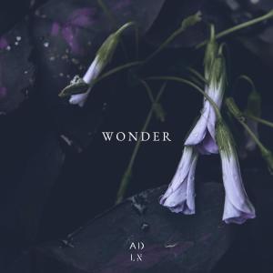 Album Wonder from 