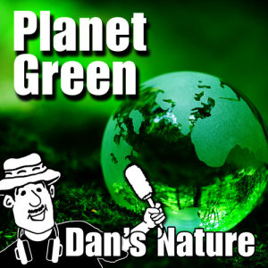 ดาวน์โหลดและฟังเพลง Comforting Knowledge - Calming Waves on the Seashore พร้อมเนื้อเพลงจาก Dan's Nature