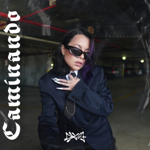 Listen to Caminando song with lyrics from DXVA
