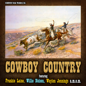 ดาวน์โหลดและฟังเพลง Footprints in the Snow พร้อมเนื้อเพลงจาก Johnny Duncan