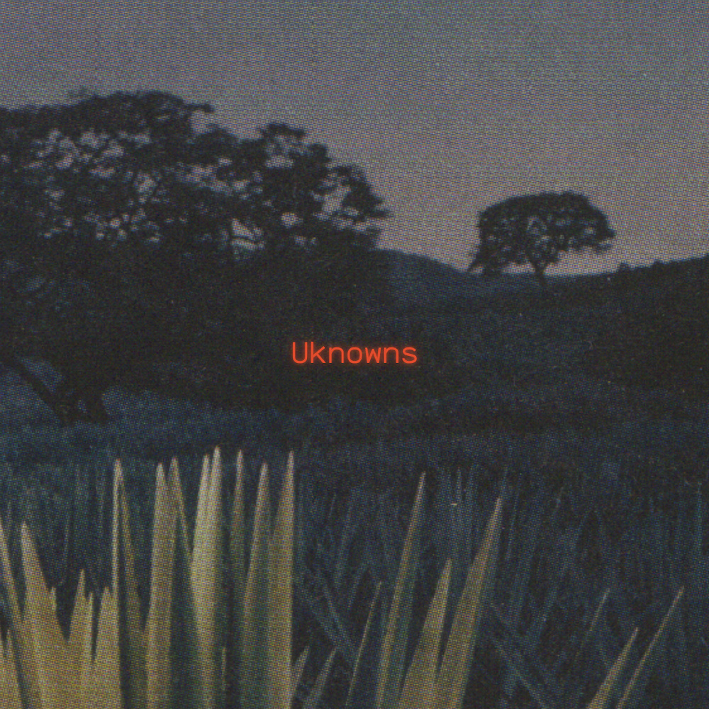 Unknowns