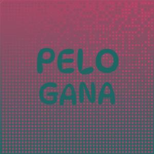 Various Artists的專輯Pelo Gana