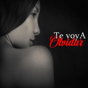收听Moises Fontalvo的Hipócrita歌词歌曲