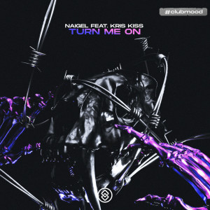 收听Naigel的Turn Me On (Extended Mix)歌词歌曲