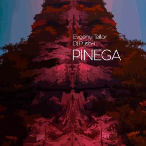 Evgeny Teilor的專輯PINEGA