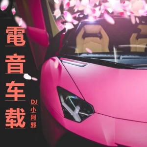 收聽DJ小阿郭的Melody girl (Remix)歌詞歌曲