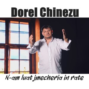 Album N-am luat jmecheria in rate from Dorel Chinezu