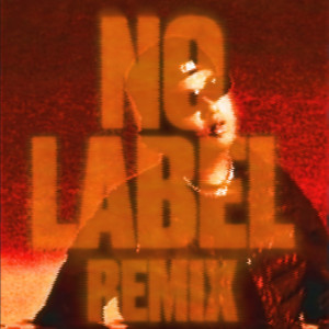 Dengarkan No Label (PravOnTheLoose Remix) lagu dari Syaz Smooth dengan lirik