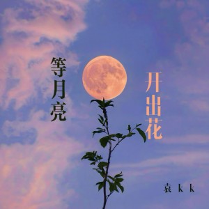 Listen to 等月亮开出花 (伴奏) song with lyrics from 袁kk