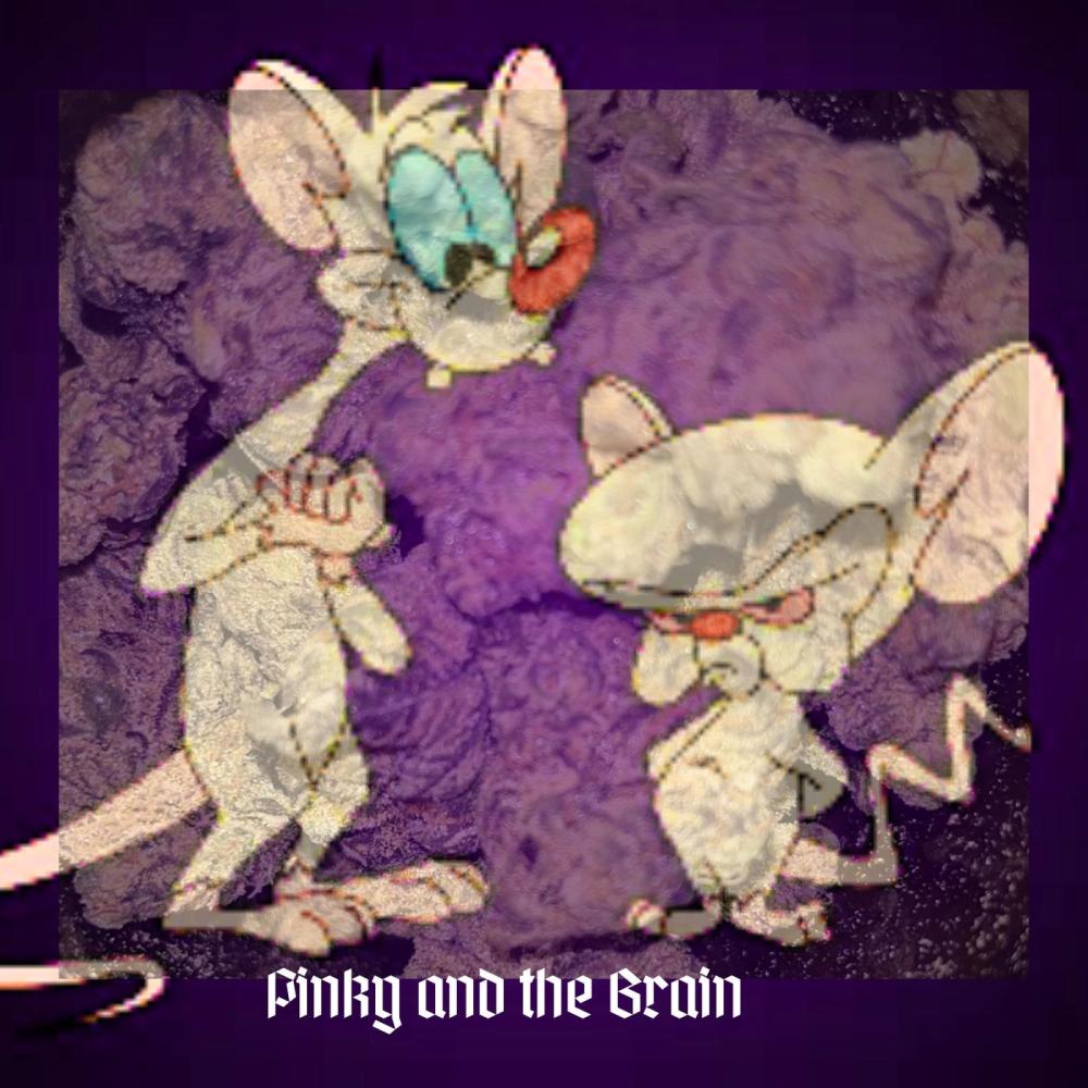 Pinky and the Brain (feat. Mezzrow64) (Explicit)