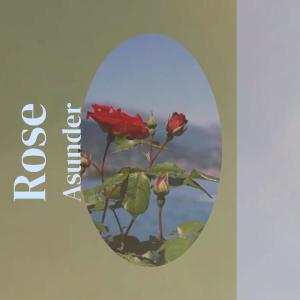 收听Anjo Funs的Gory Alife歌词歌曲