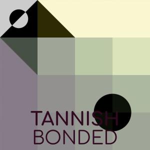 Various的专辑Tannish Bonded