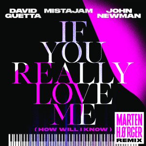 ดาวน์โหลดและฟังเพลง If You Really Love Me (How Will I Know) (Marten Hørger Remix) พร้อมเนื้อเพลงจาก David Guetta