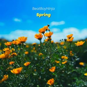 BeatBoyNinja的專輯Spring