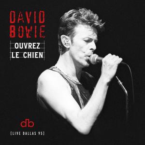 ดาวน์โหลดและฟังเพลง We Prick You (Live at the Starplex Amphitheater, Dallas, 13th October, 1995) พร้อมเนื้อเพลงจาก David Bowie