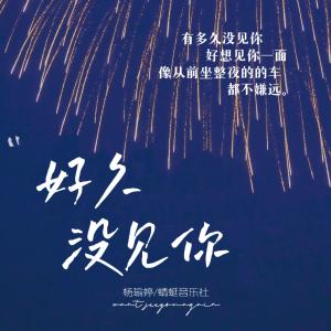 Album 好久没见你 from 杨瑜婷