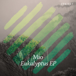 Eukalyptus