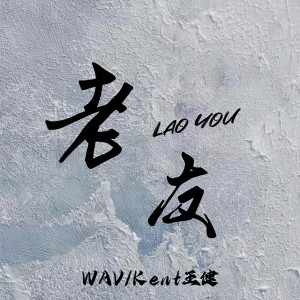 WAV的专辑老友