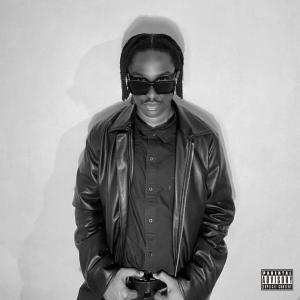 ดาวน์โหลดและฟังเพลง Fashion Killa (Explicit) พร้อมเนื้อเพลงจาก Kirikou