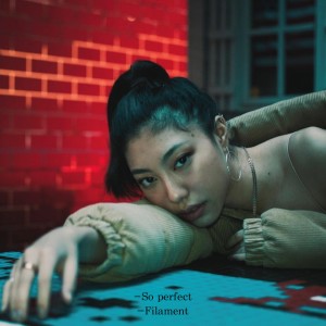 Listen to 너무 완벽해 song with lyrics from Filament
