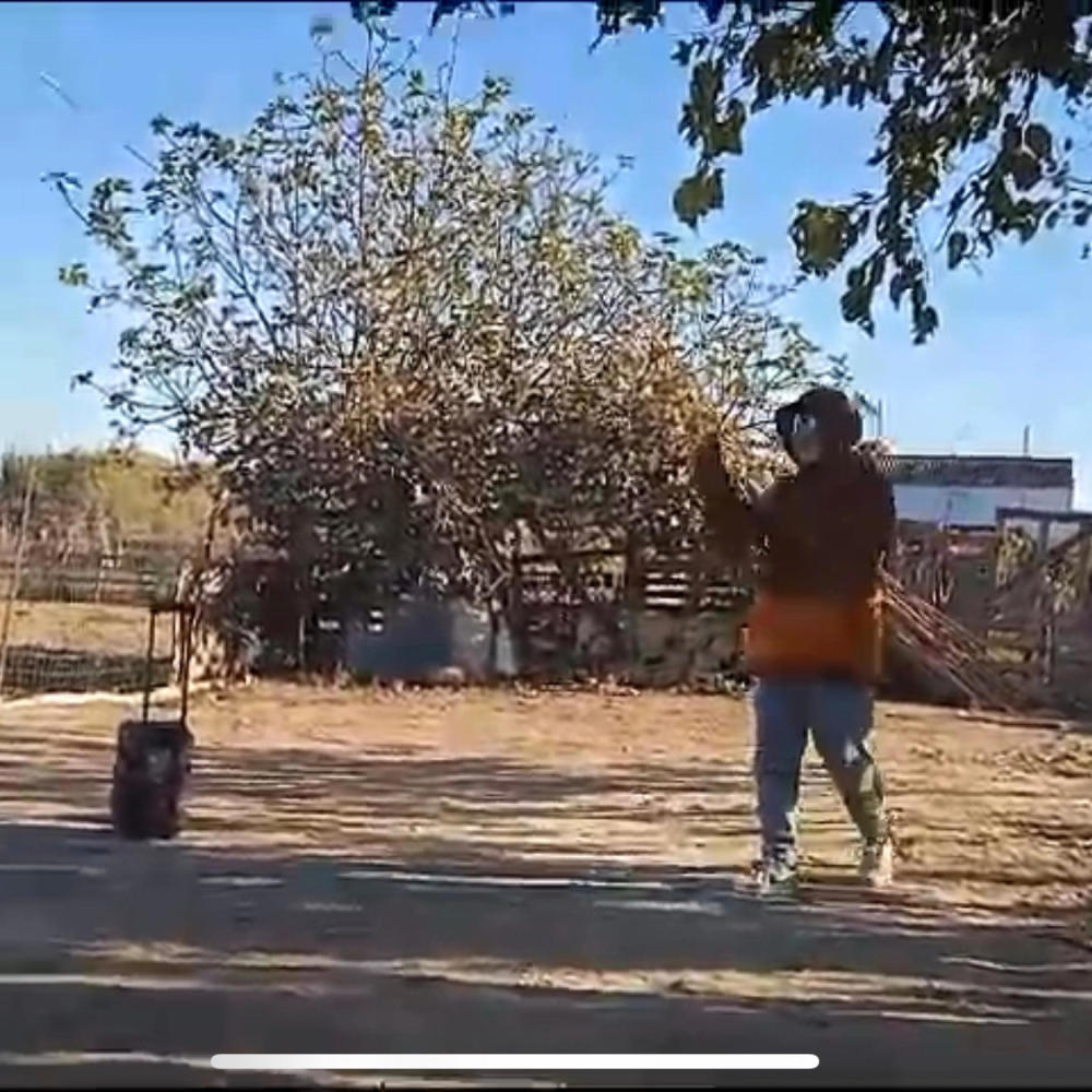 Bubalu