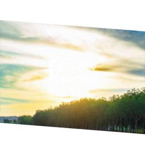 收听Moby Wili的North Heavenly歌词歌曲