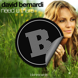 David Bernardi的專輯Need U There