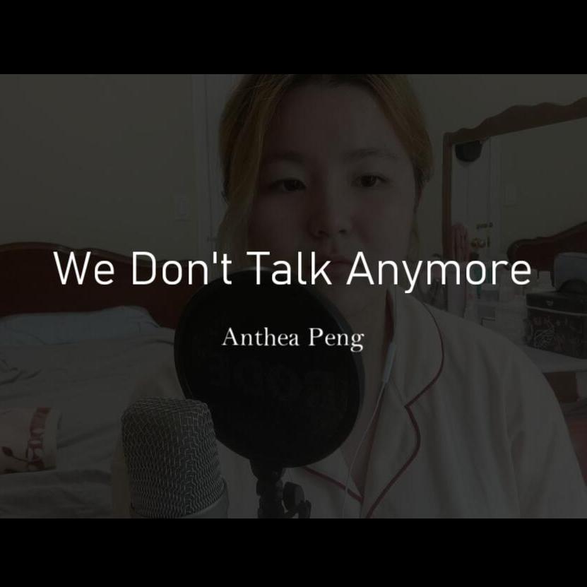 We Dont Talk Anymore（翻唱版） (其他)