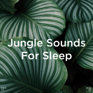 Dengarkan lagu Sleep Music Relax nyanyian Yoga dengan lirik