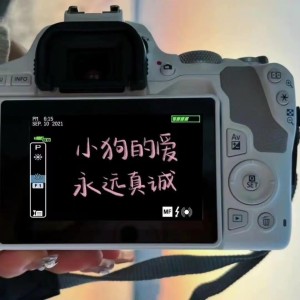 Album 难道你看不出我很爱他 from 汪珂楠