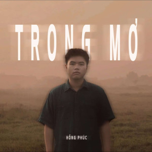 收聽Hồng Phúc的Trong Mơ歌詞歌曲