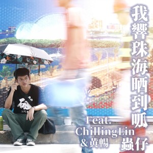 虫仔的专辑我响珠海晒到呱