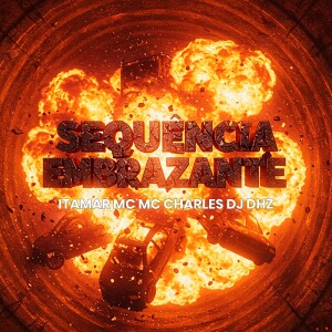 Album SEQUÊNCIA EMBRAZANTE (Explicit) from 