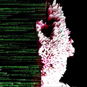 Listen to Menya Gaga(feat. Shie1bi, DaniFighter & Xyron) (Explicit) song with lyrics from Alumínium Paktum