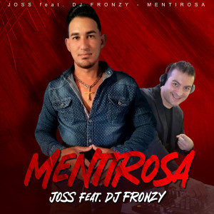 Dj Fronzy的专辑Mentirosa