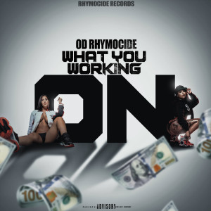 Listen to What You Workin On (Explicit) song with lyrics from OD Rhymocide