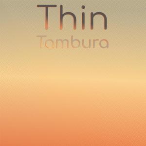Listen to Thin Tambura song with lyrics from Cameka