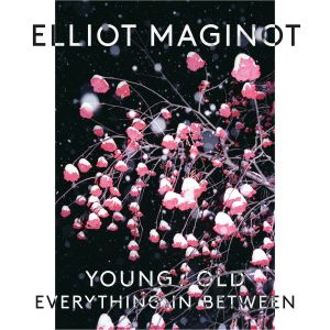 Listen to Young/Old song with lyrics from Elliot Maginot