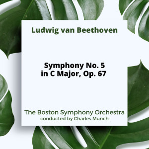 อัลบัม Beethoven: Symphony No. 5 in C Major, Op. 67 ศิลปิน The Boston Symphony Orchestra