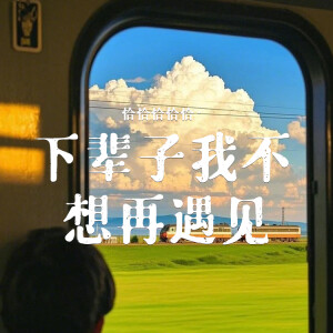Album 下辈子我不想再遇见你 from 恰恰恰恰恰