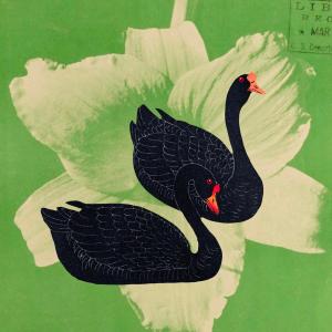 andrew的專輯swan dive (Explicit)