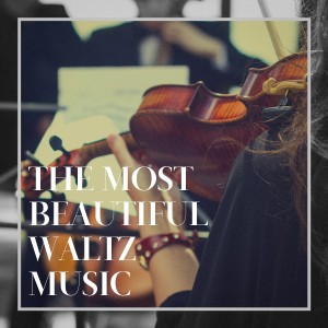 Listen to Sari Waltz song with lyrics from Ashley Miller