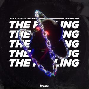 Album The Feeling (feat. NALYRO) from Esh